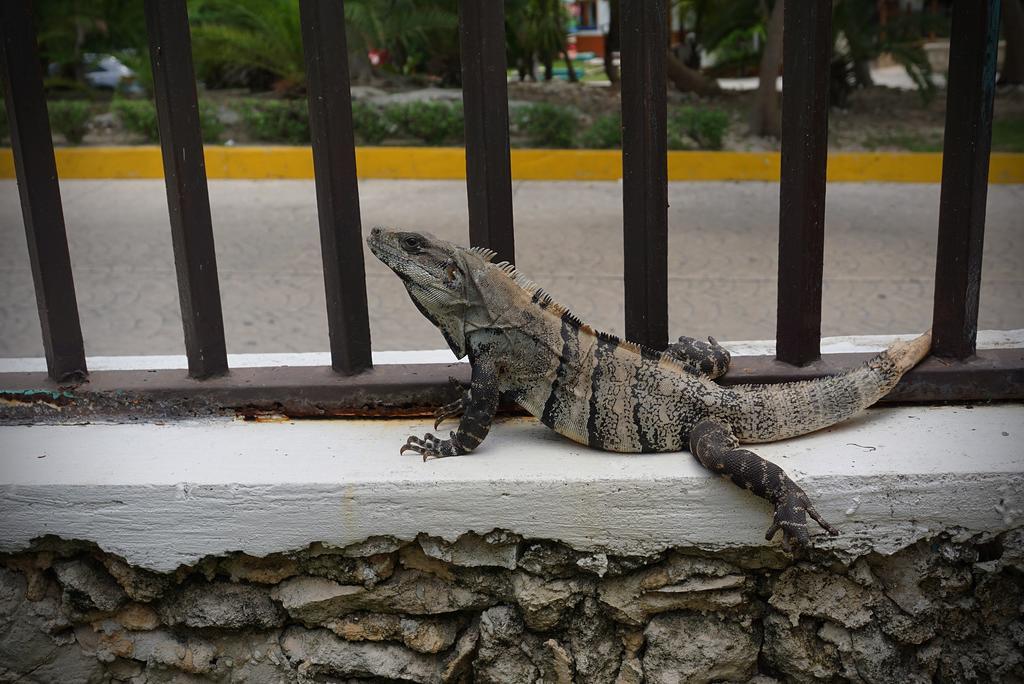 Hostel El Corazon Cancún Buitenkant foto